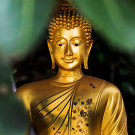 Treasureegypttours.com
