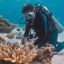 Treasureegypttours.com