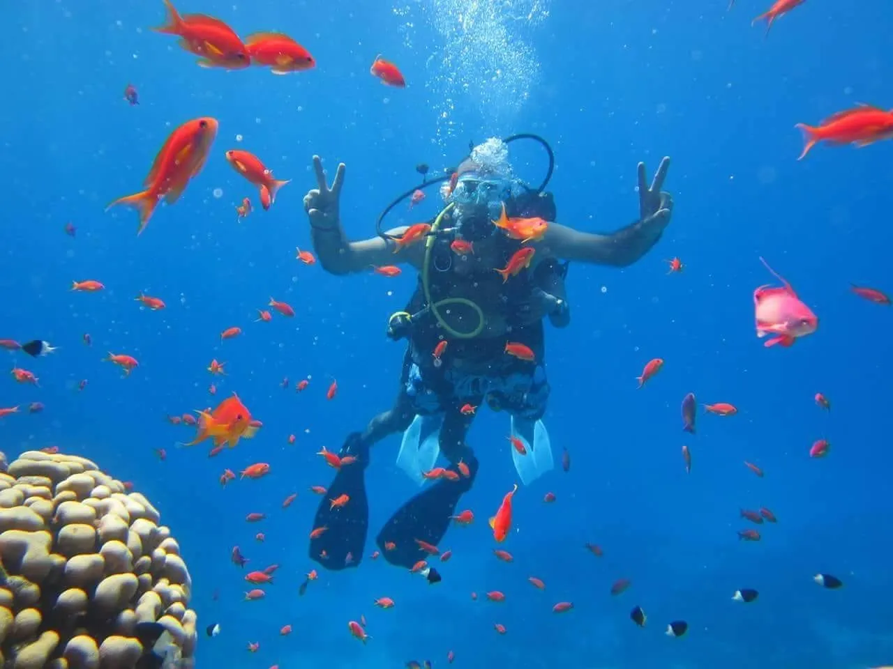 Treasureegypttours.com